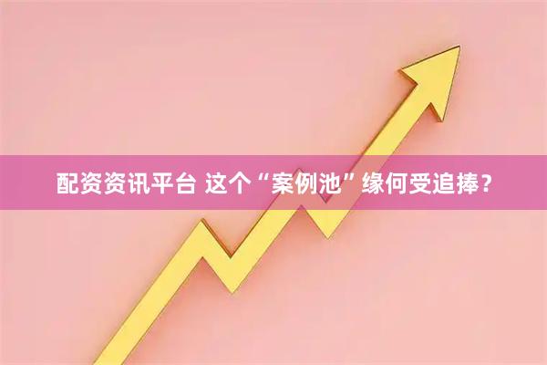 配资资讯平台 这个“案例池”缘何受追捧？