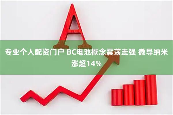 专业个人配资门户 BC电池概念震荡走强 微导纳米涨超14%