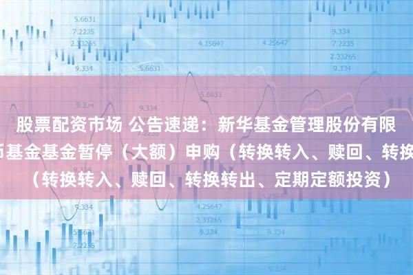 股票配资市场 公告速递：新华基金管理股份有限公司新华活期添利货币基金基金暂停（大额）申购（转换转入、赎回、转换转出、定期定额投资）