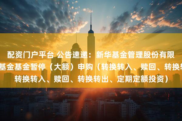 配资门户平台 公告速递：新华基金管理股份有限公司新华壹诺宝货币基金基金暂停（大额）申购（转换转入、赎回、转换转出、定期定额投资）
